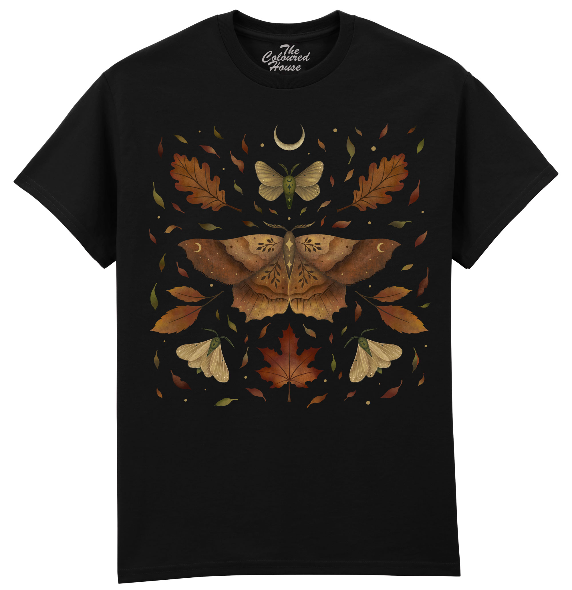 Autumn Moth