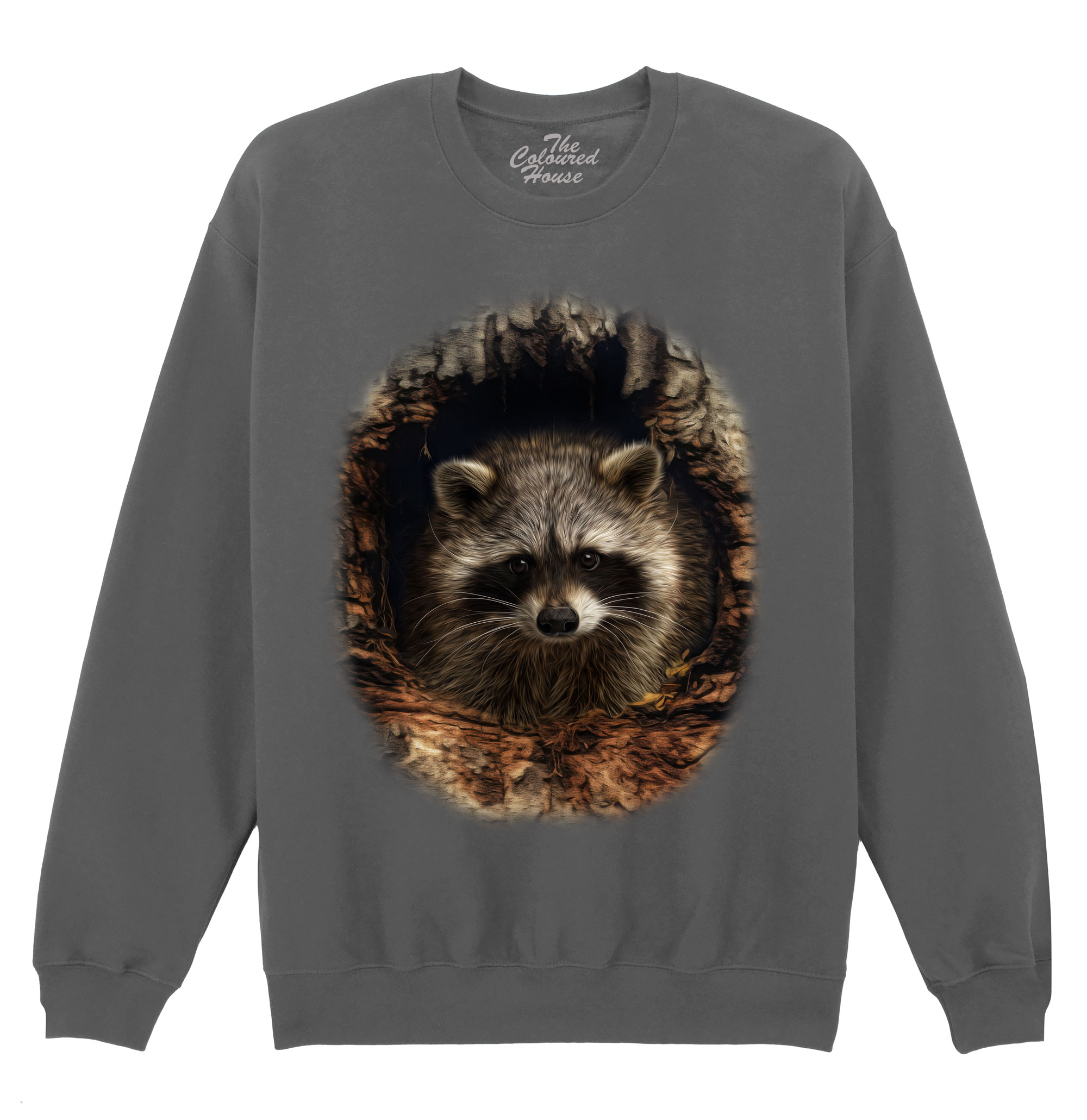 Through The Woodland Window - Racoon