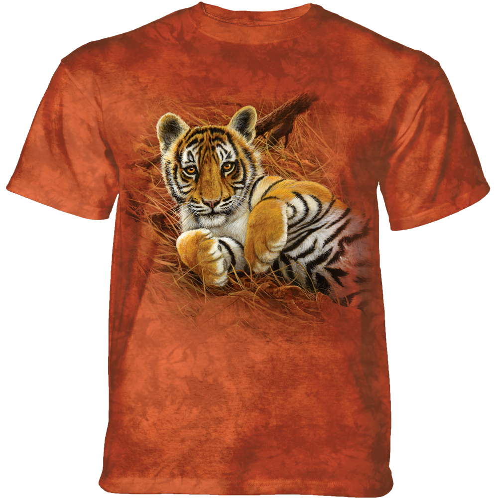 Playful Tiger Cub