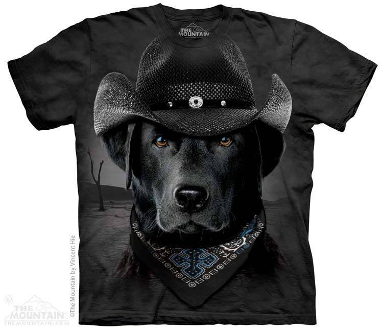 Cowboy Lab