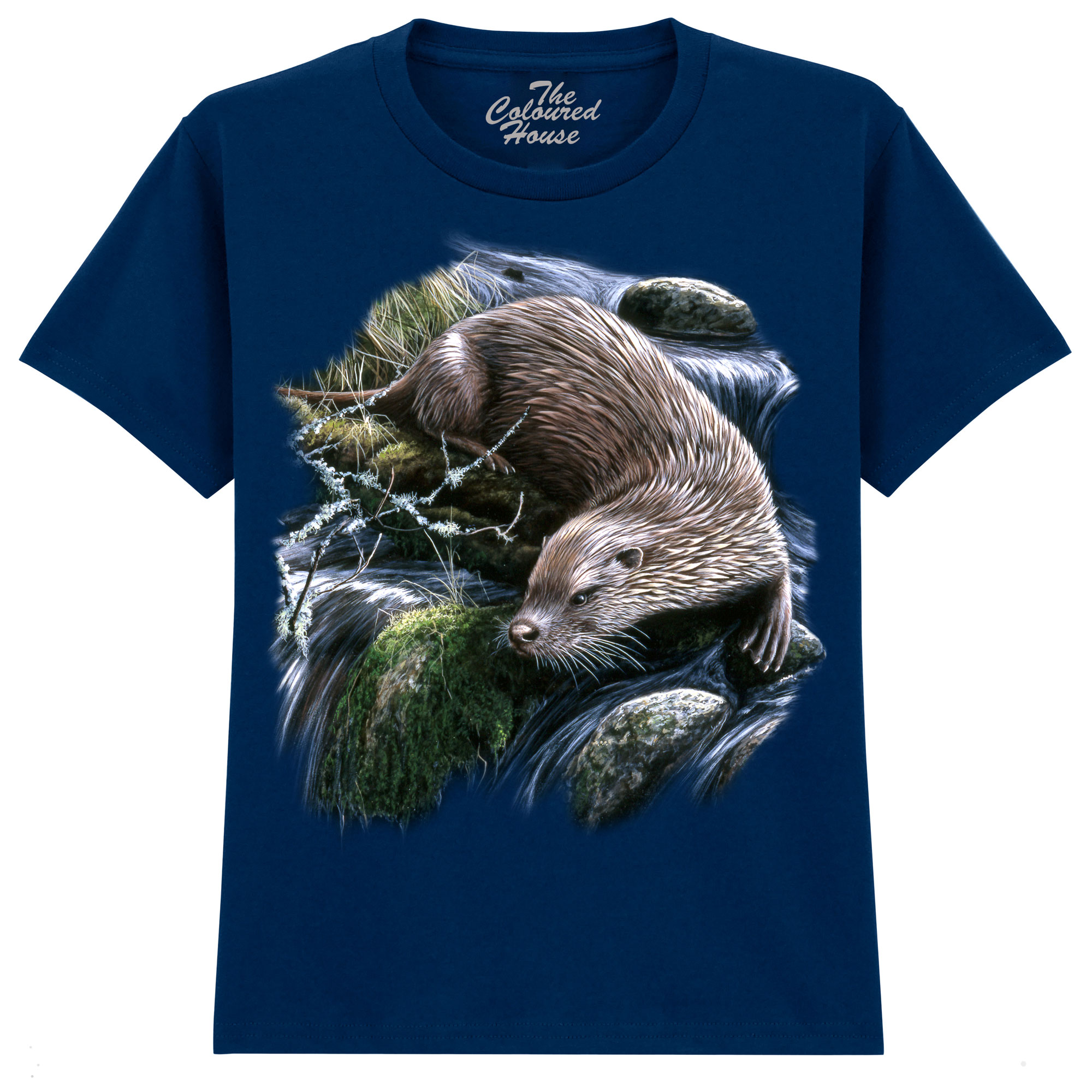 Exploring Otter KIDS