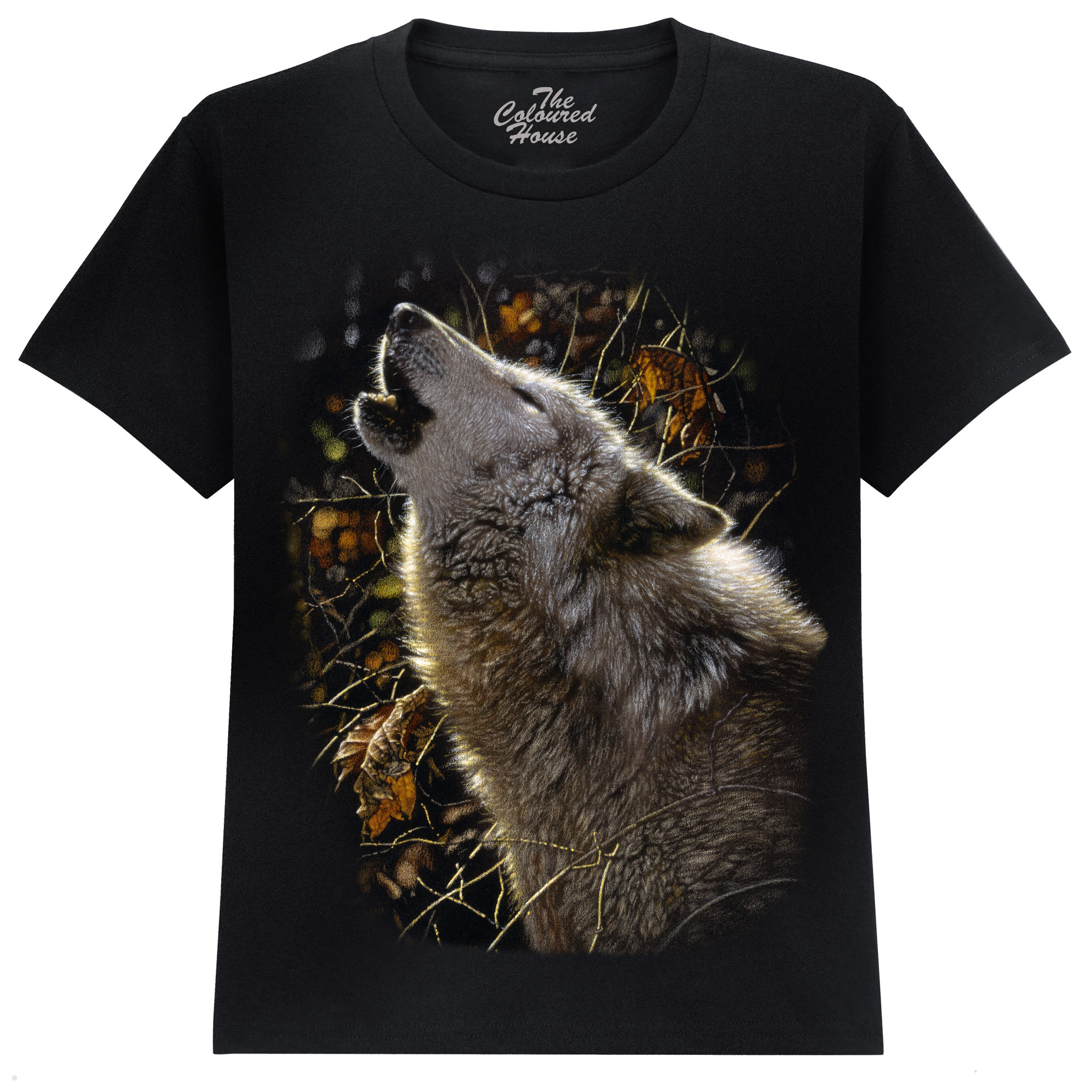 Songs Of Autumn - Wolf KIDS