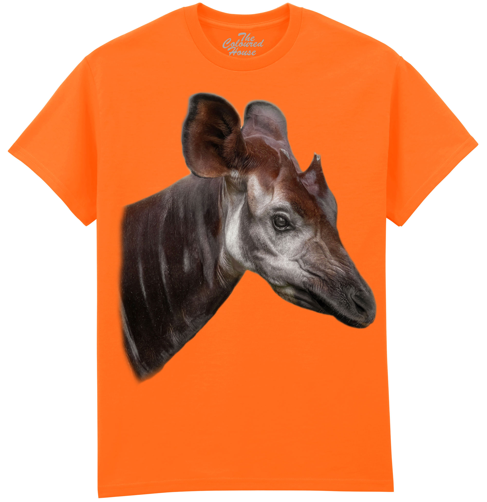 The Elusive Okapi The Elusive Okapi