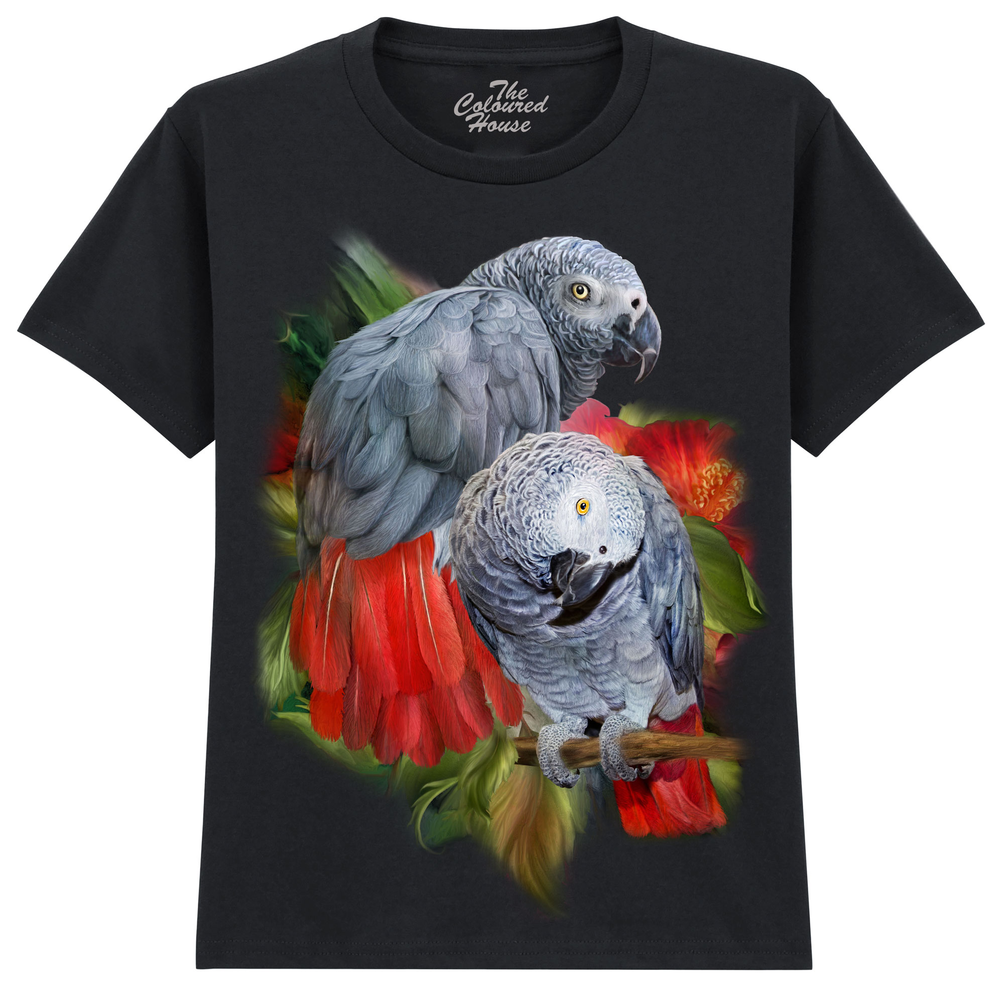 African Greys KIDS