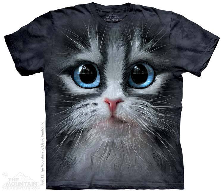 Cutie Pie Kitten