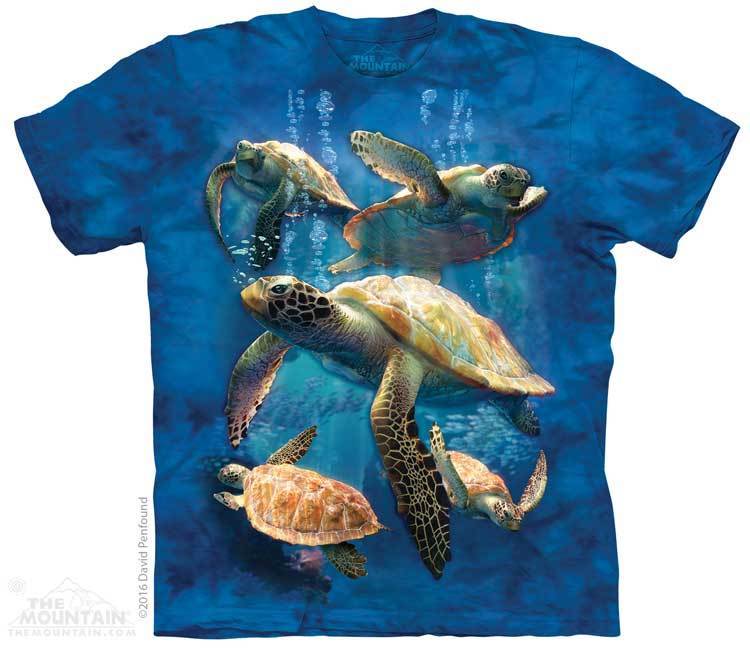 Sea Turtle Family