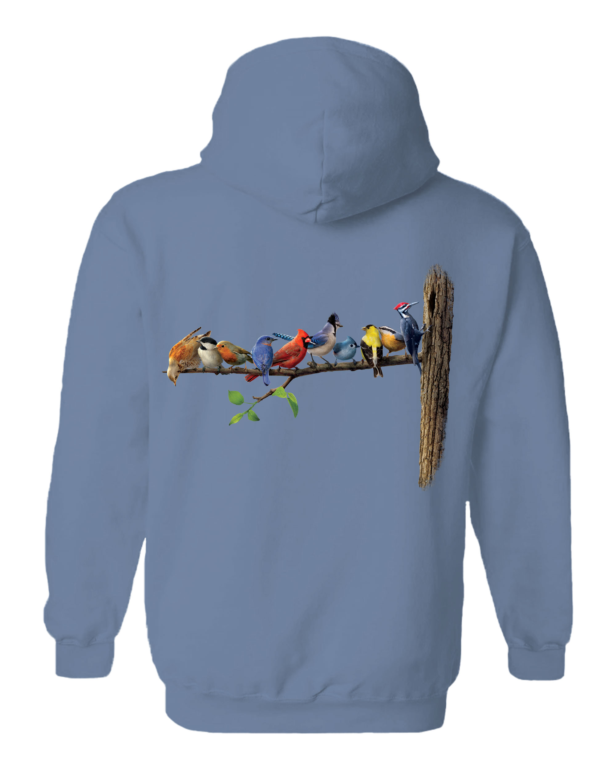 Birds Hoodie