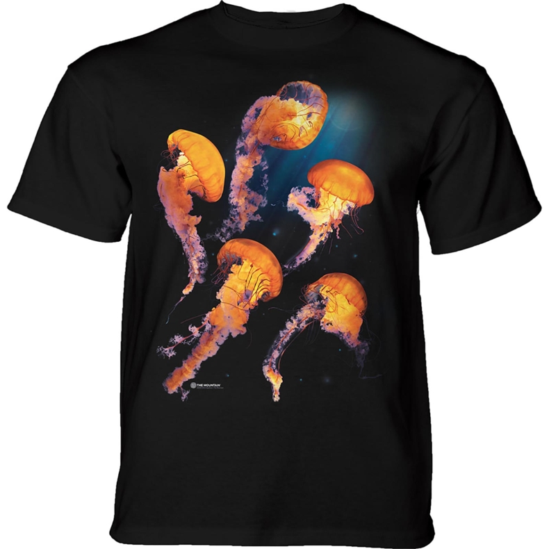 Pacific Nettle Jellyfish KIDS