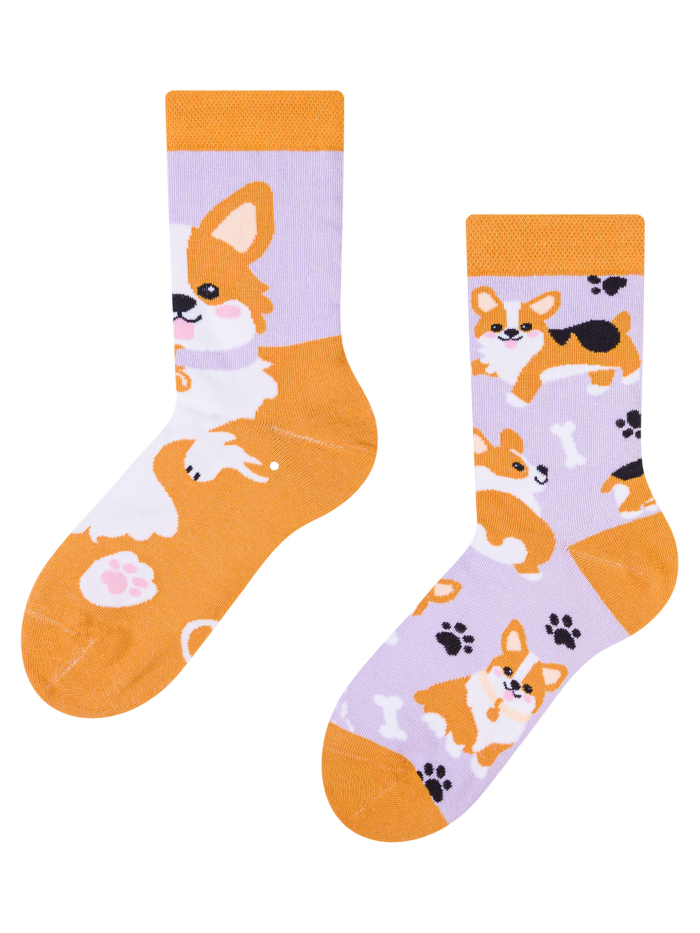 Regular KIDS Socks Corgi Dog