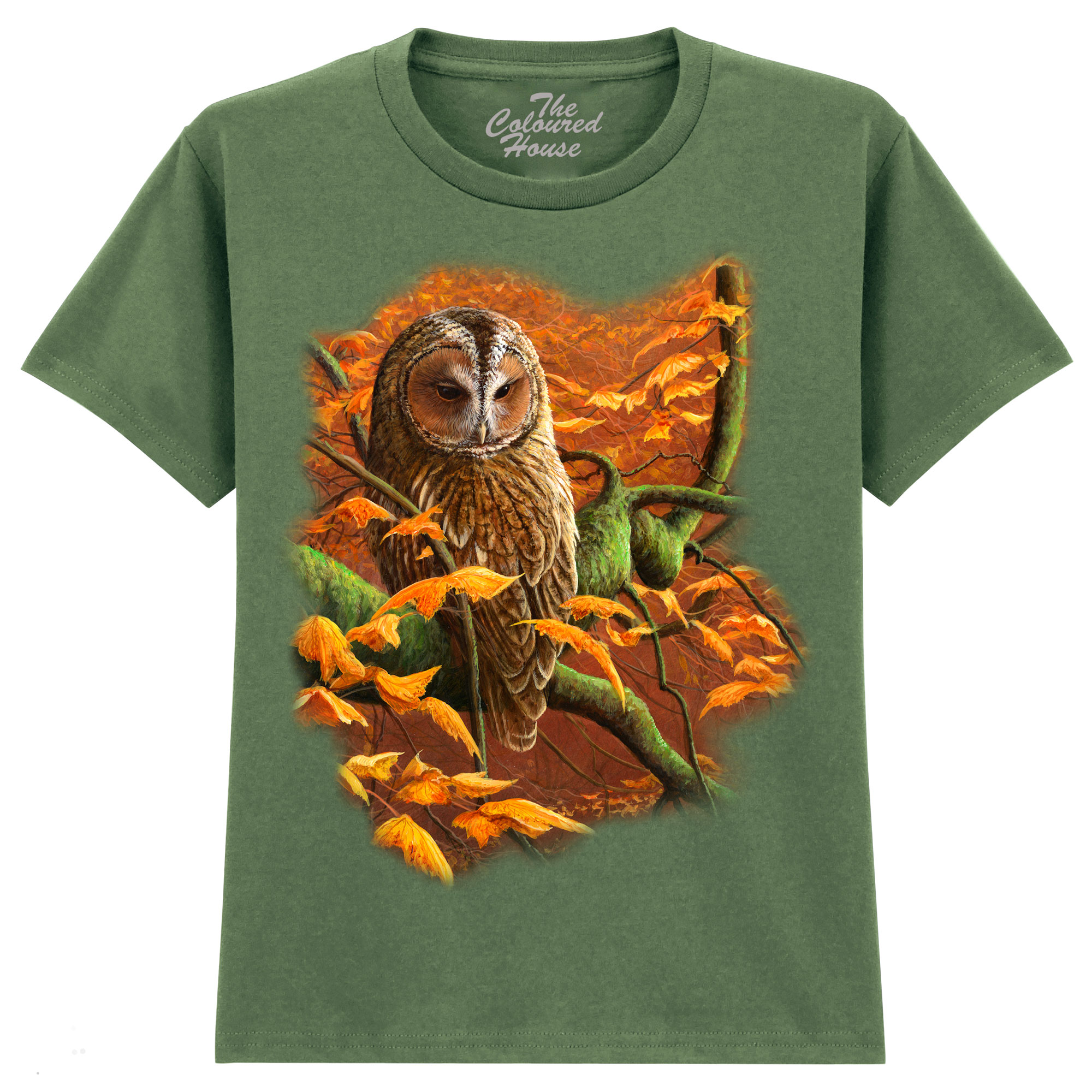 Autumn Tawny Owl KIDS