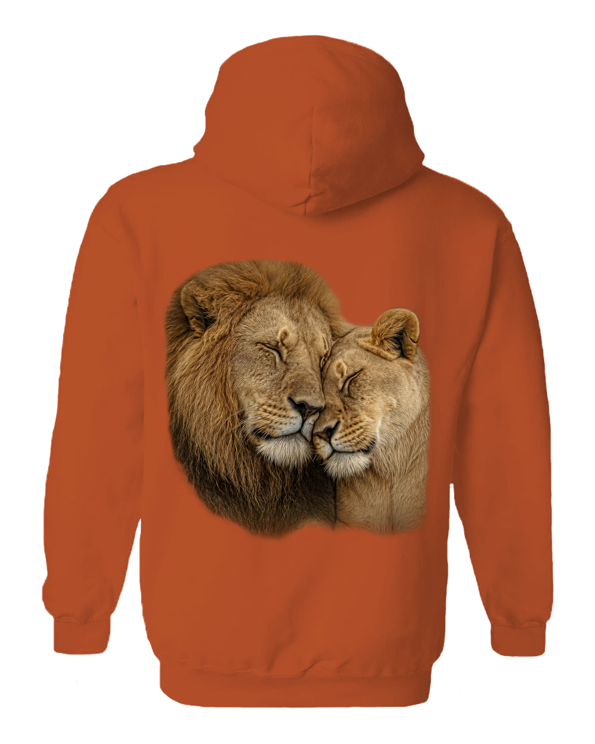 In The Arms Of The King - Lions Hoodie