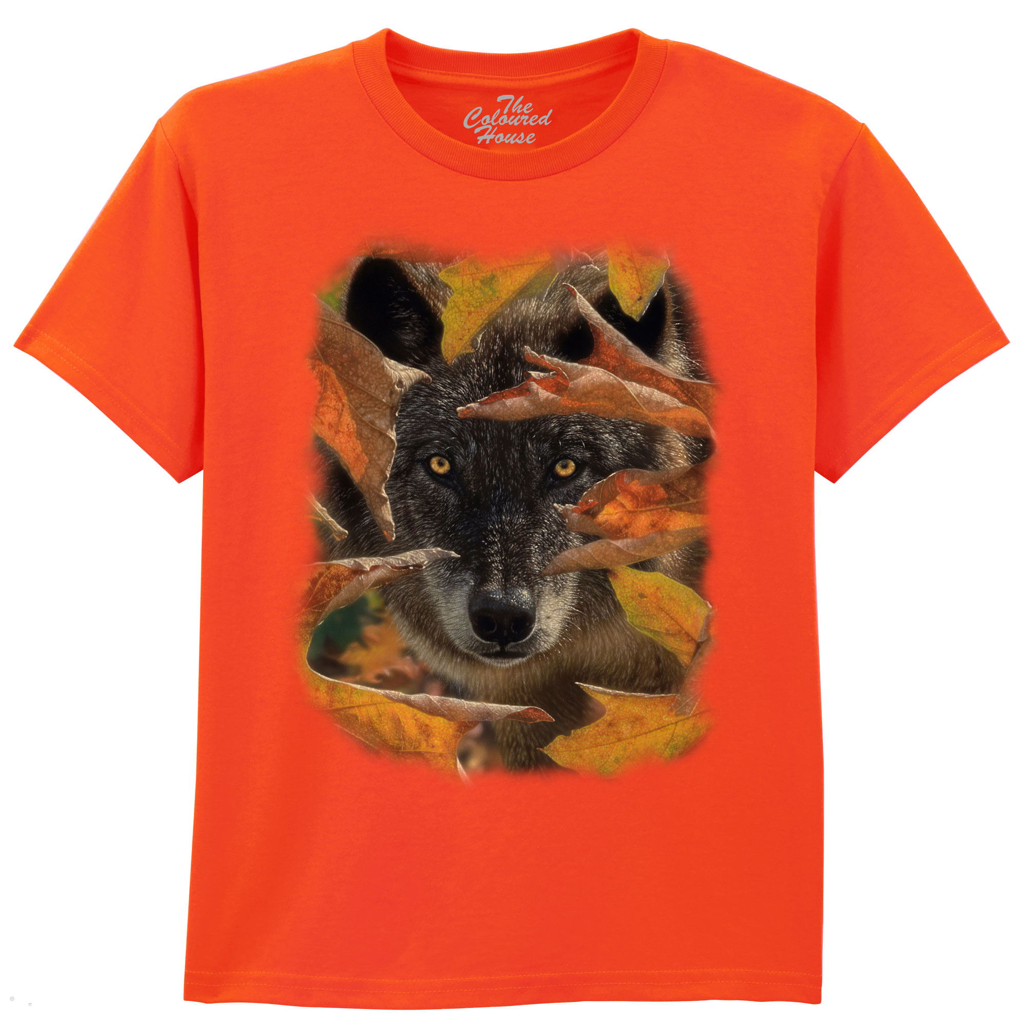 Autumn Black Wolf KIDS