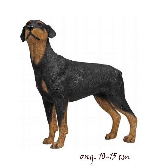Doberman LP11198