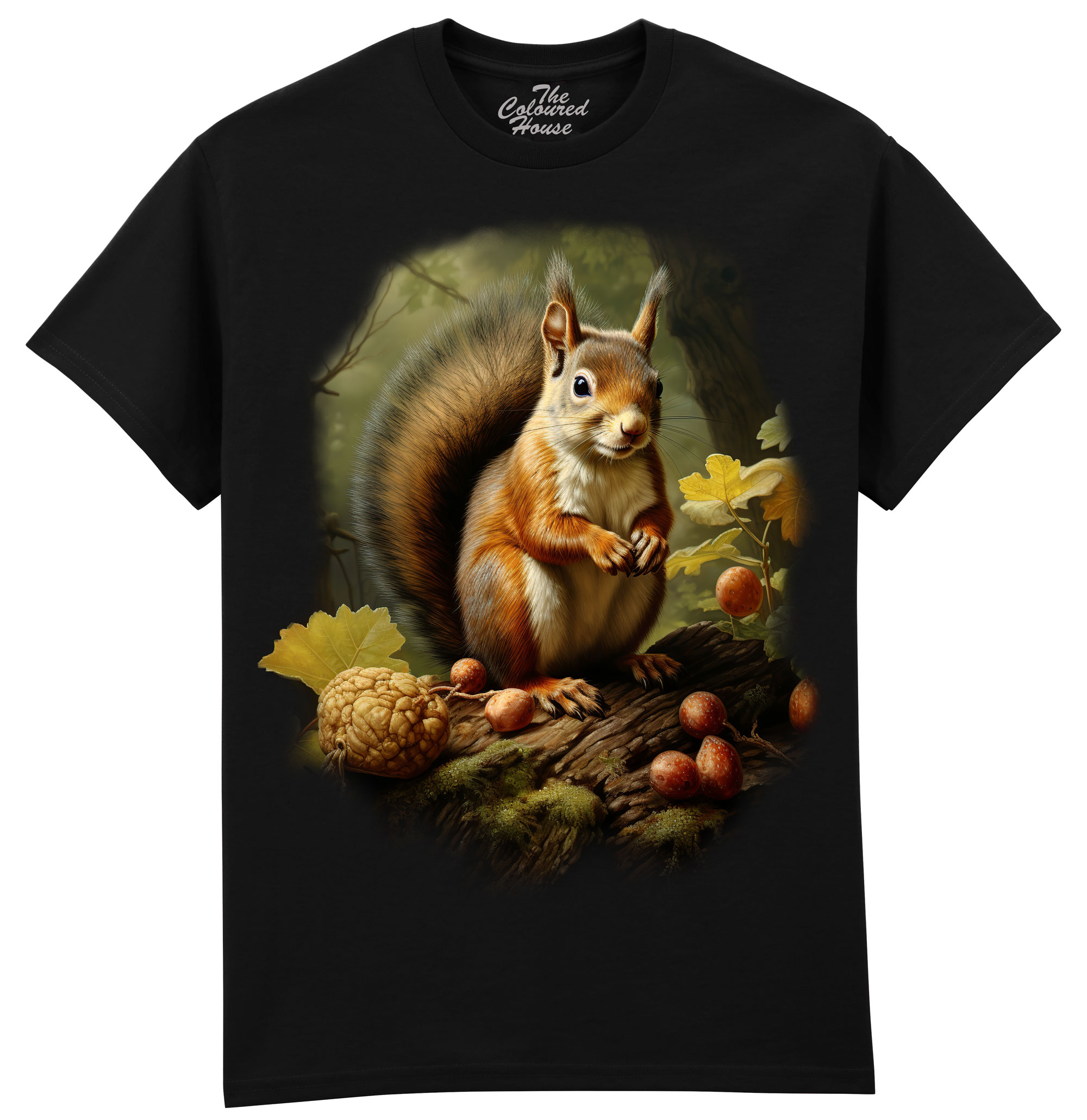 Squirrel In The Woods