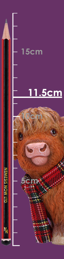 Highland Snug 12.2cm