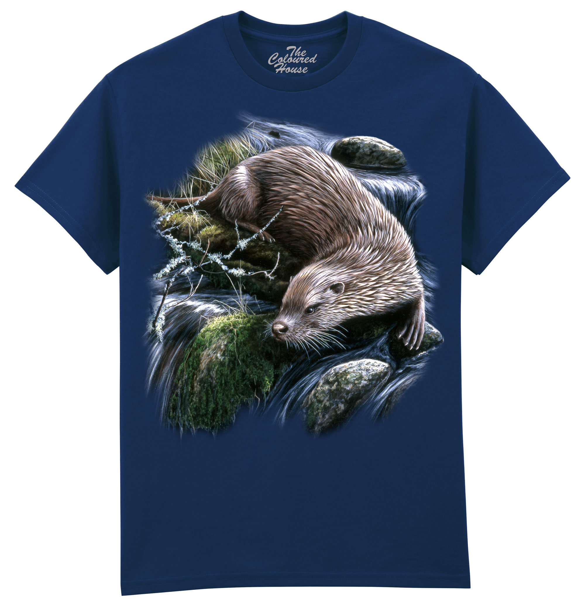 Exploring Otter Exploring Otter
