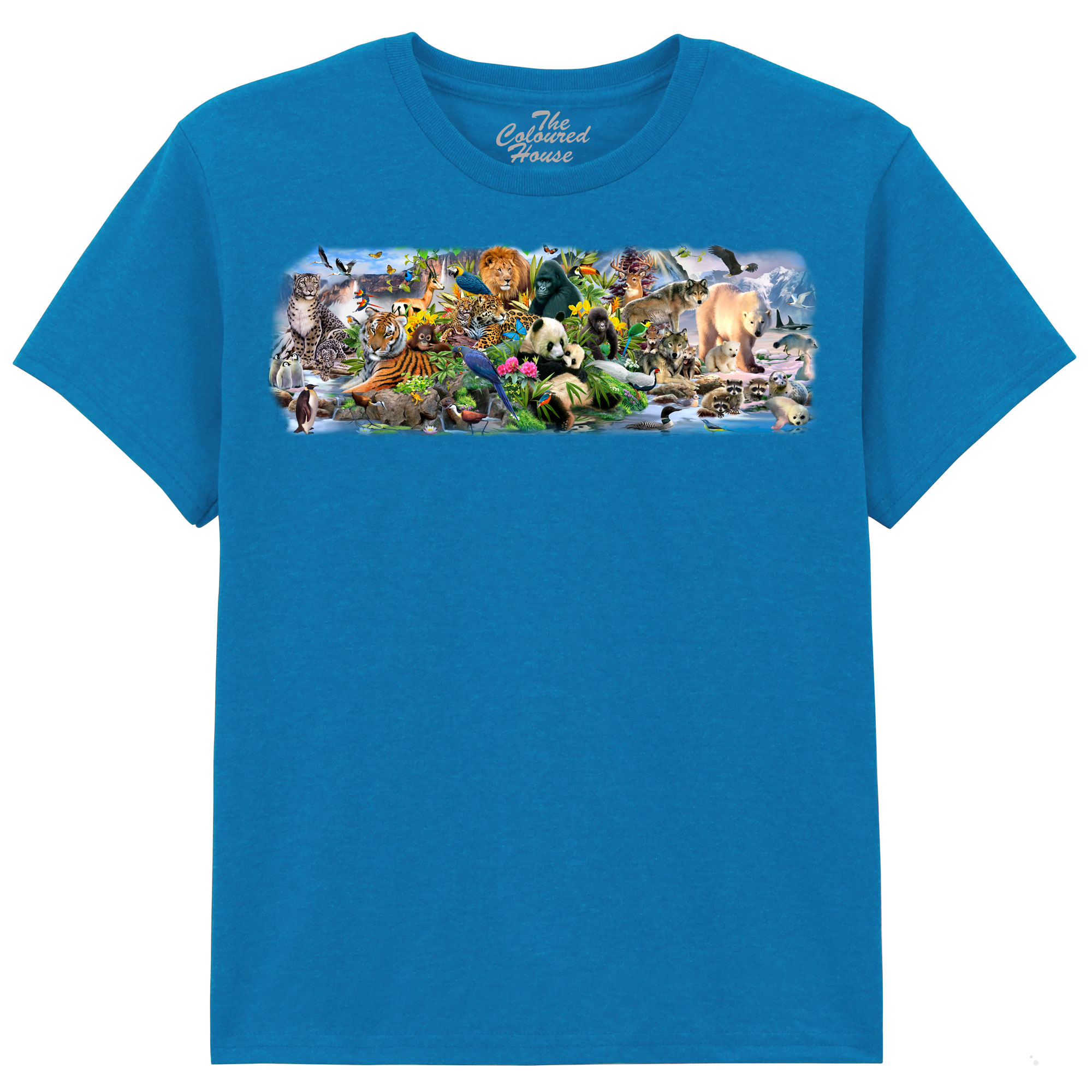 Around The World KIDS