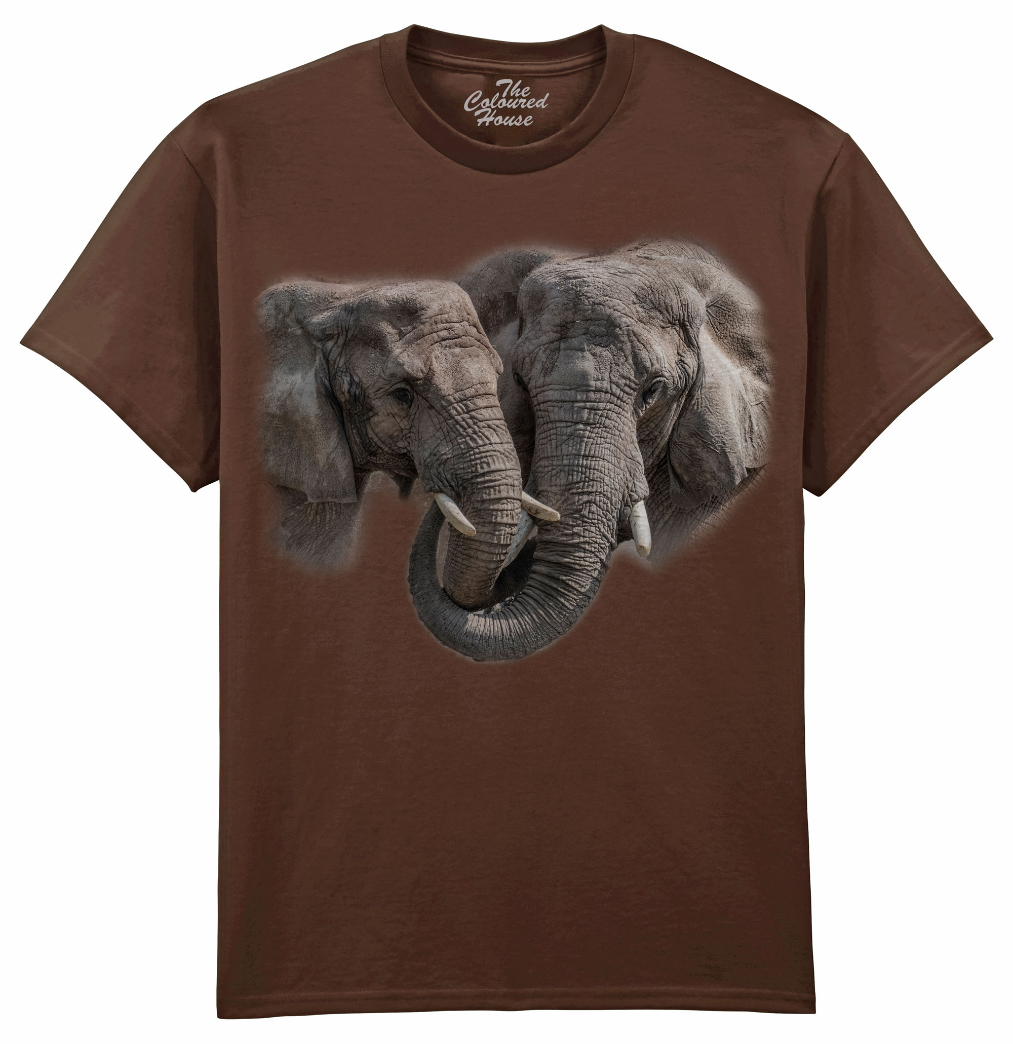 Big Hug - Elephants