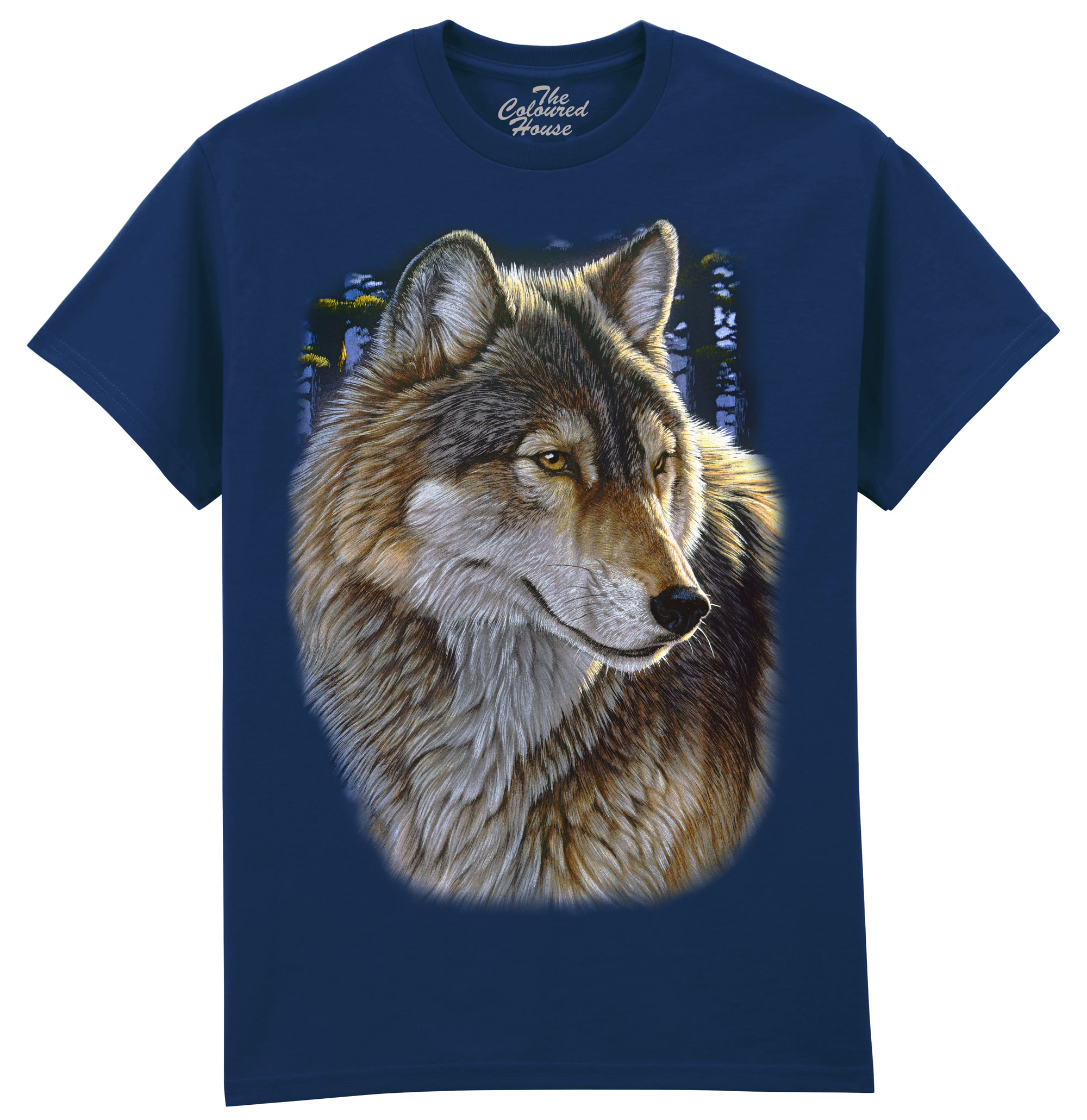 Evening Wolf Portrait