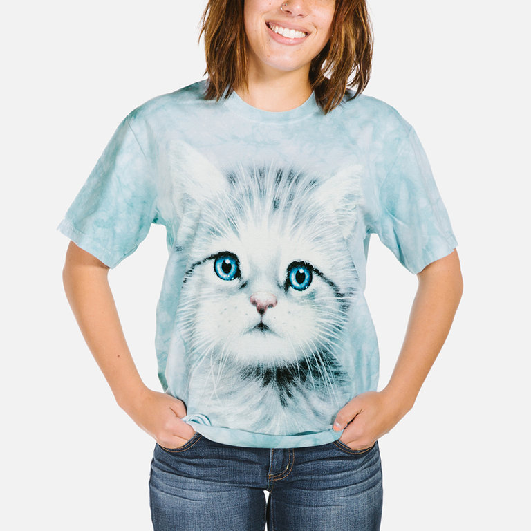 Blue Eyed Kitten