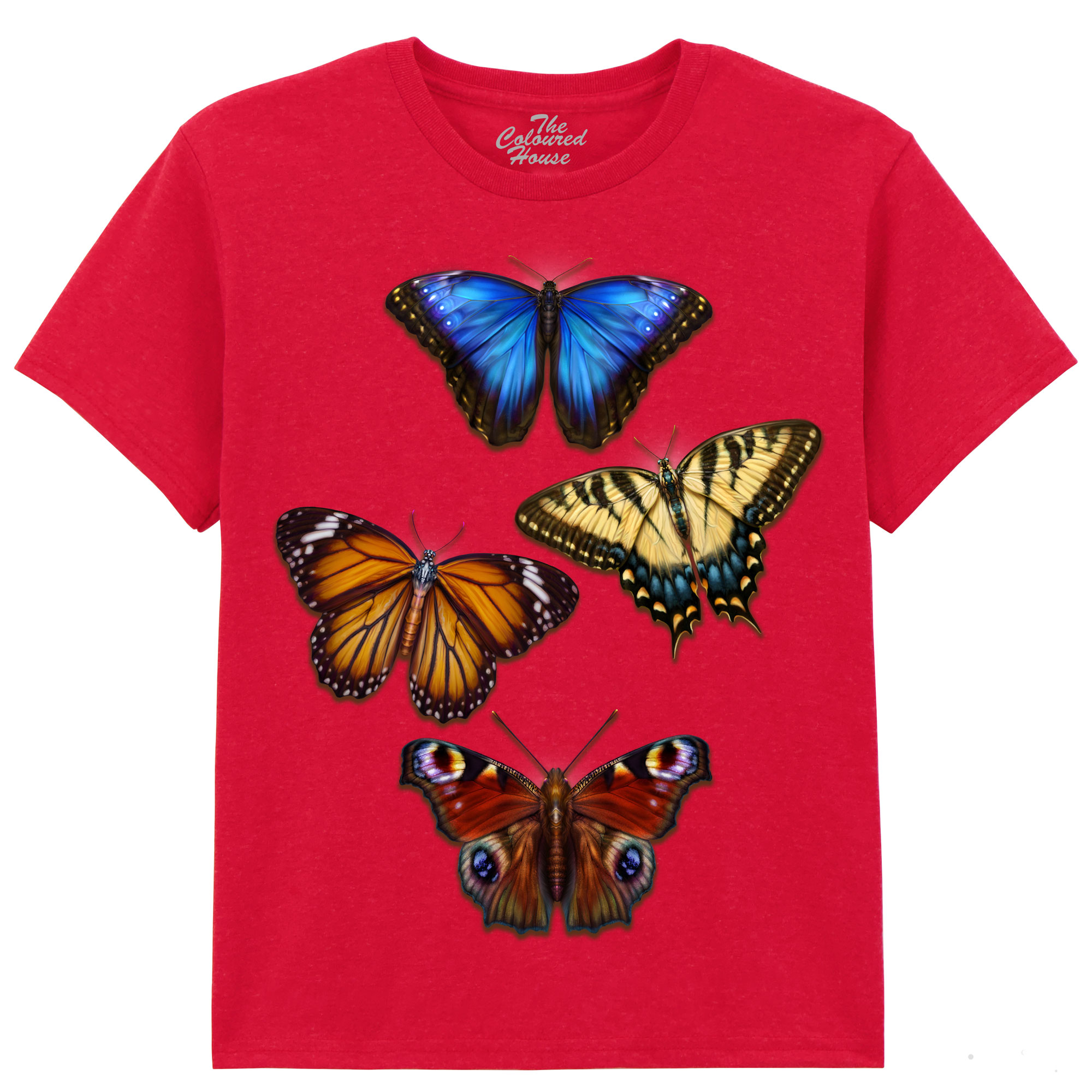 Butterflies 4 KIDS