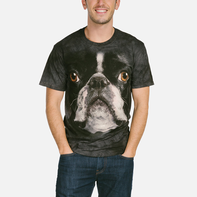 Boston Terrier Face