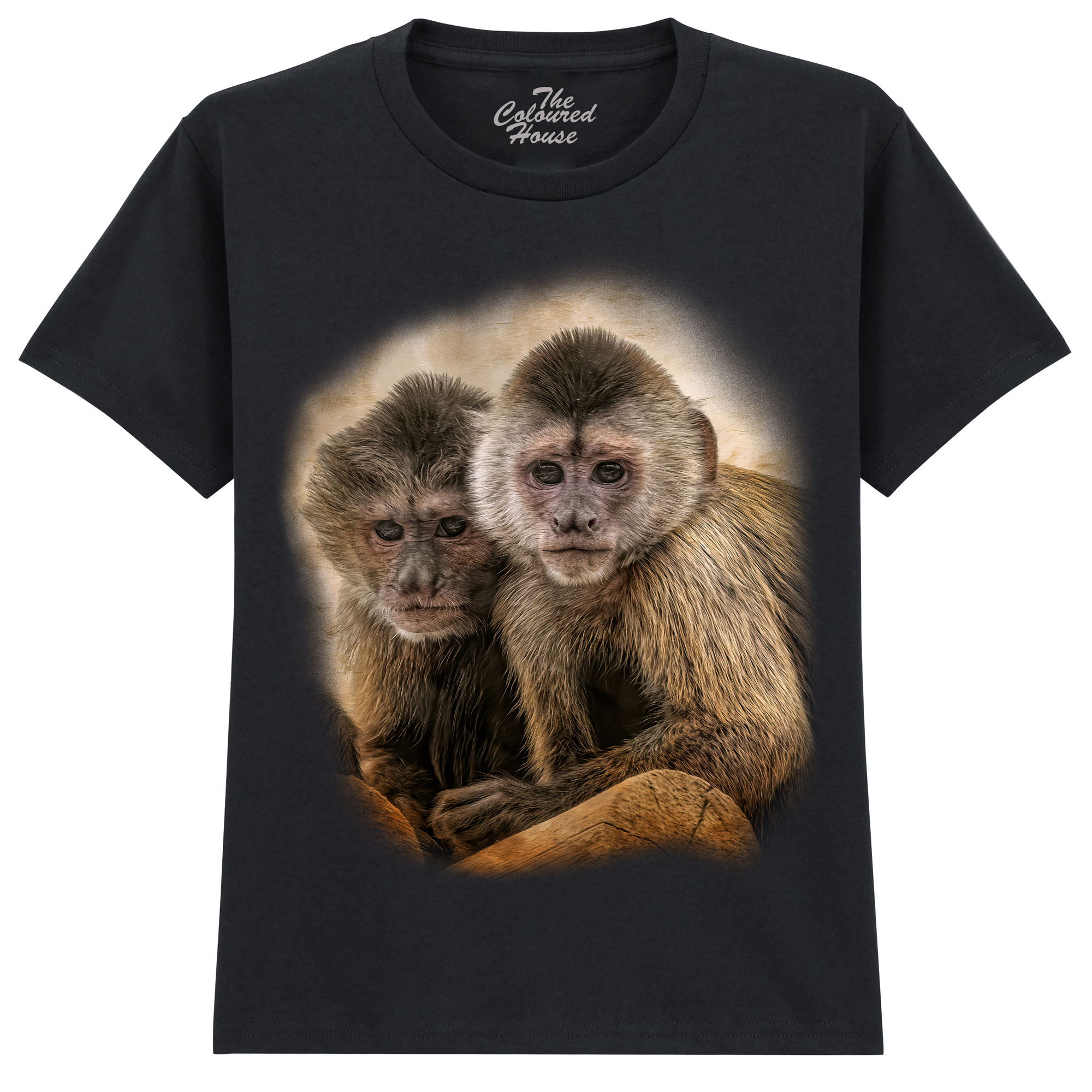 Companions In Mischief KIDS