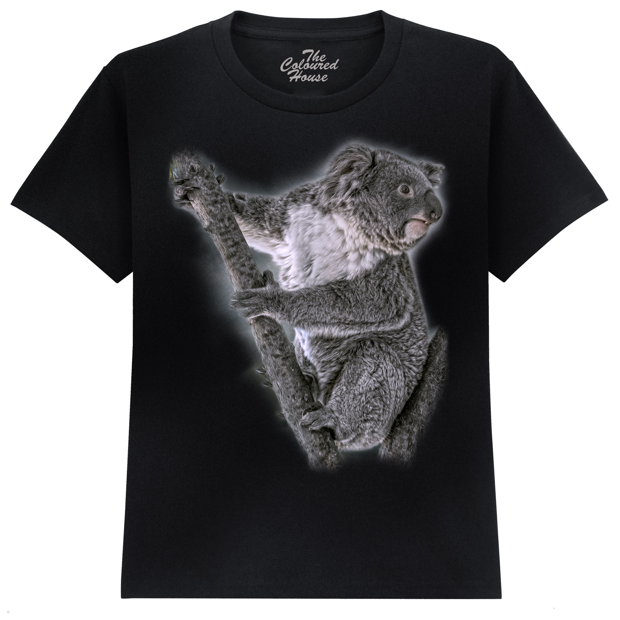 Eucalyptus Whisperer - Koala KIDS