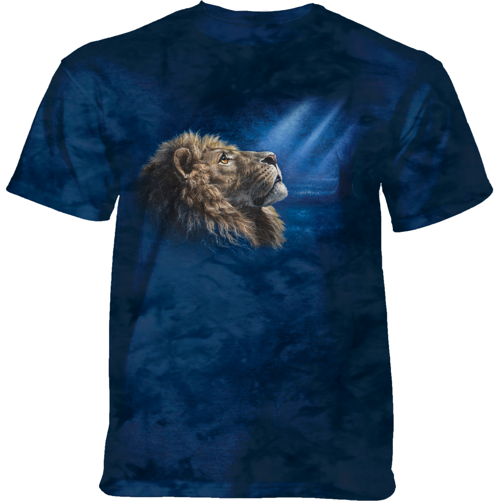 Humility Lion