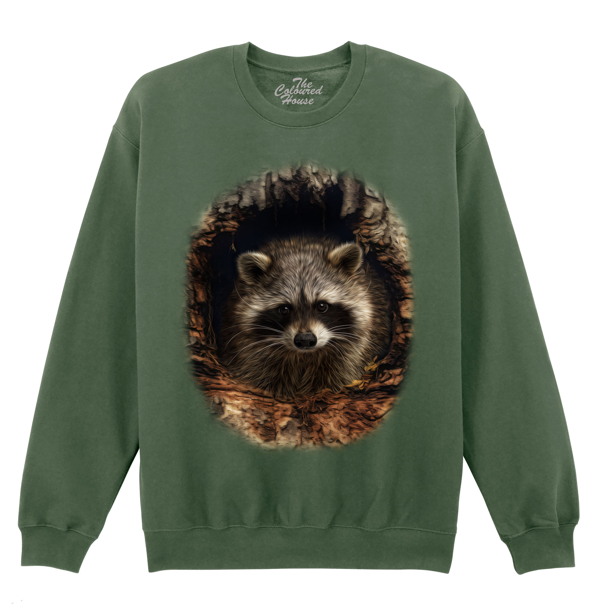 Through The Woodland Window - Racoon