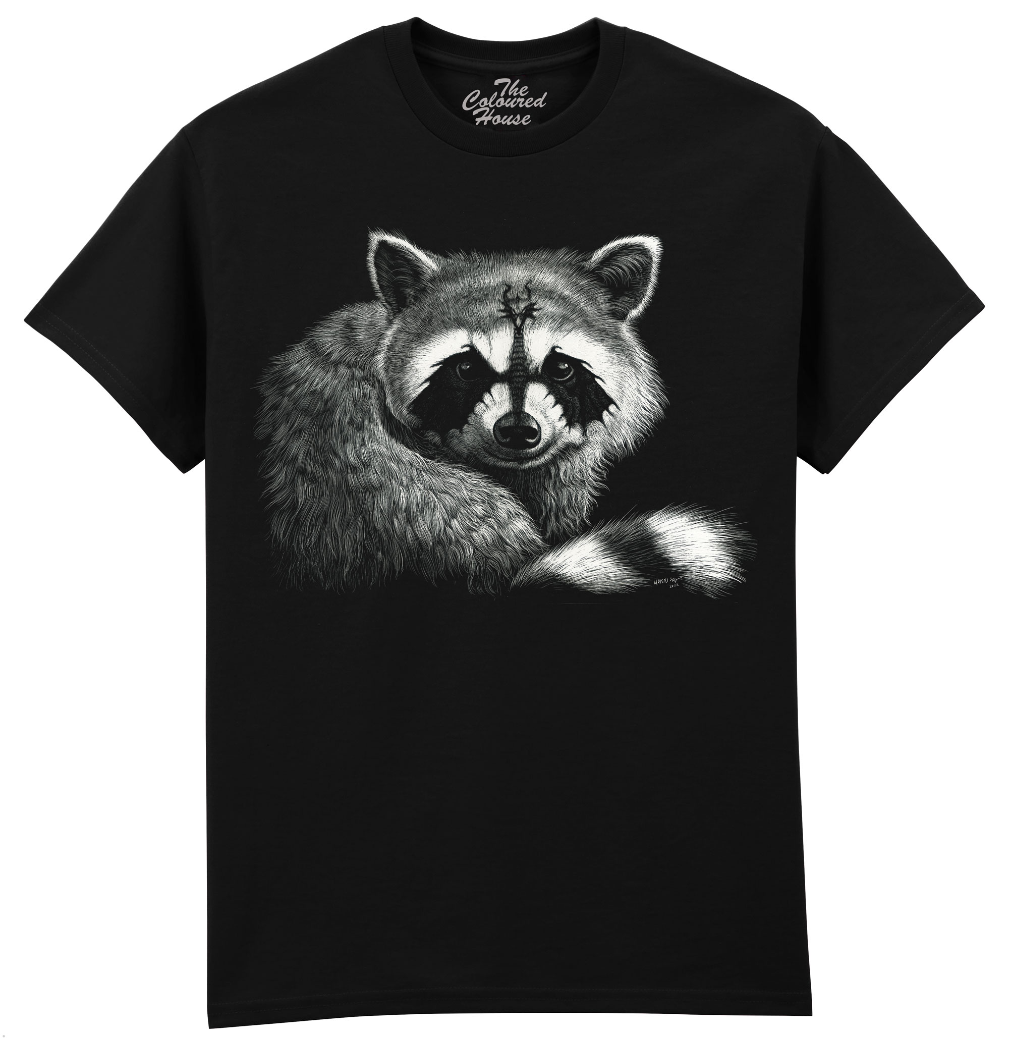 Draccoon