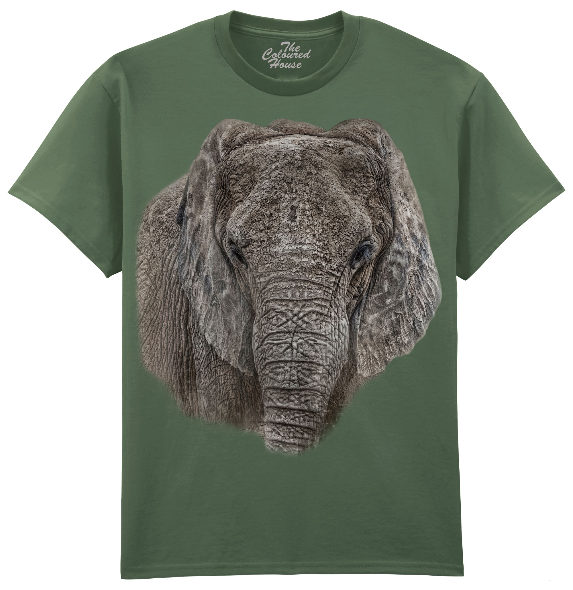 The Ancient One - Elephant