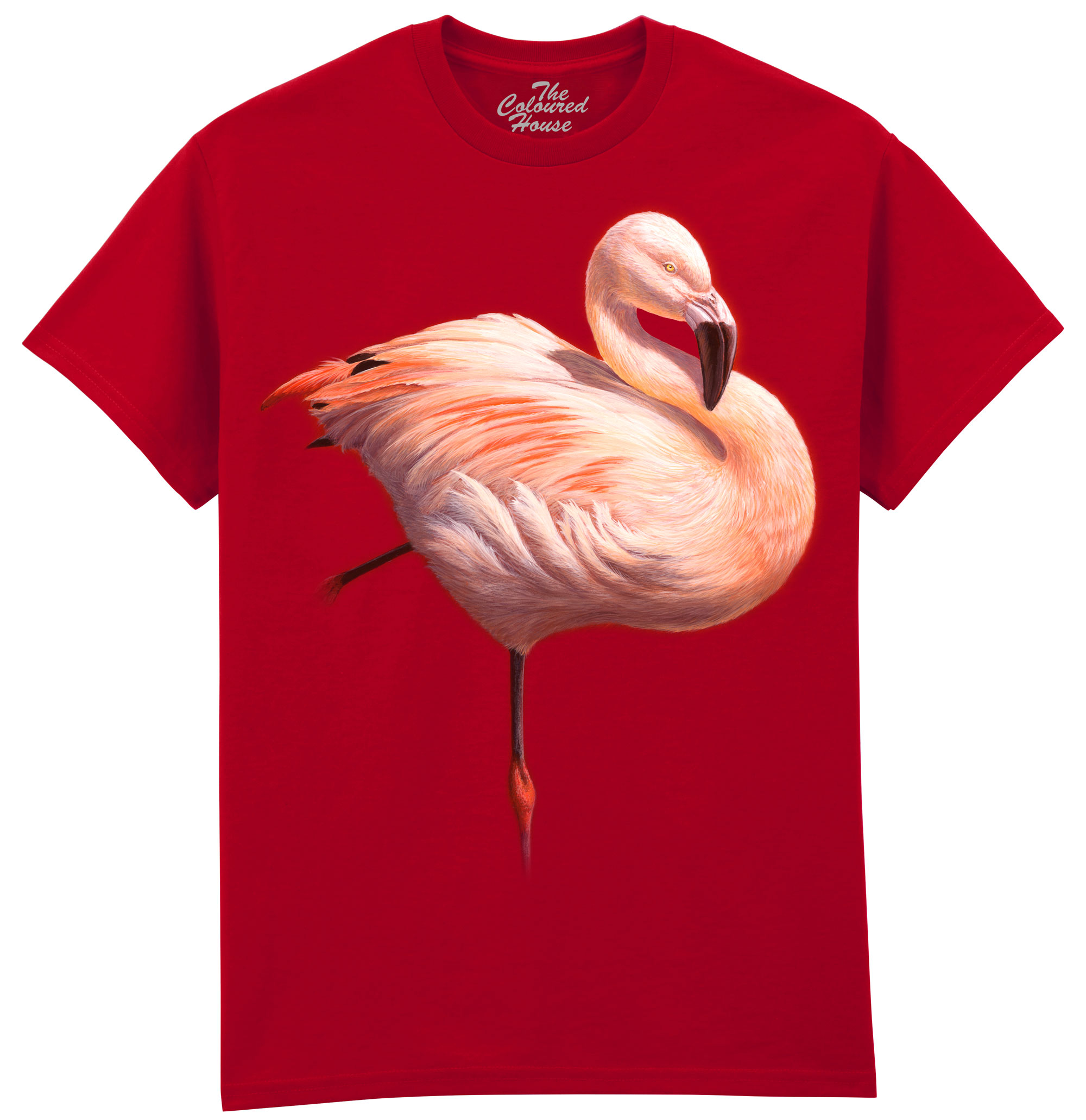 Flame Flamingo