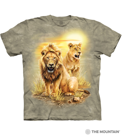 Lion Pair