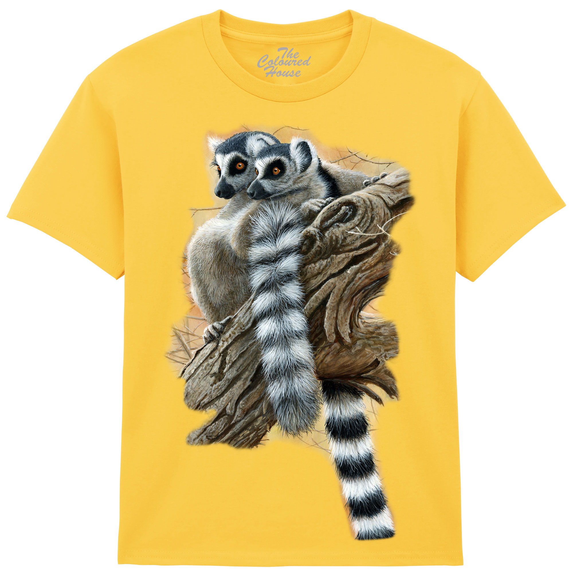 Heads And Tails - Ring Tailed Lemur KIDS