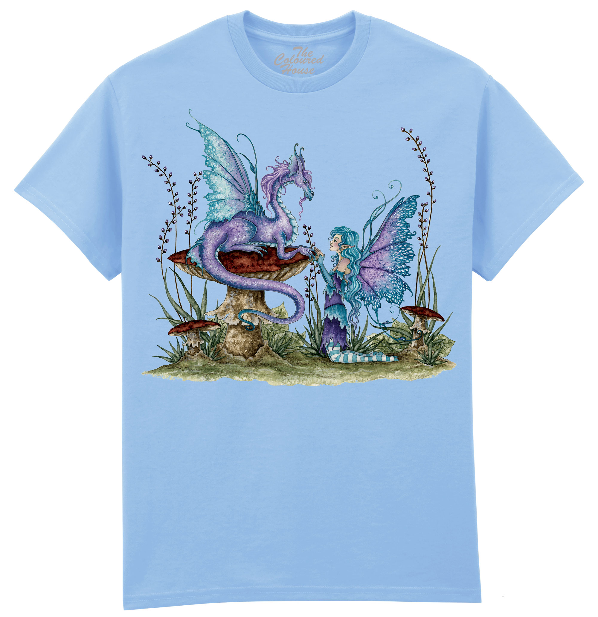 Companions - Fairy and Dragon