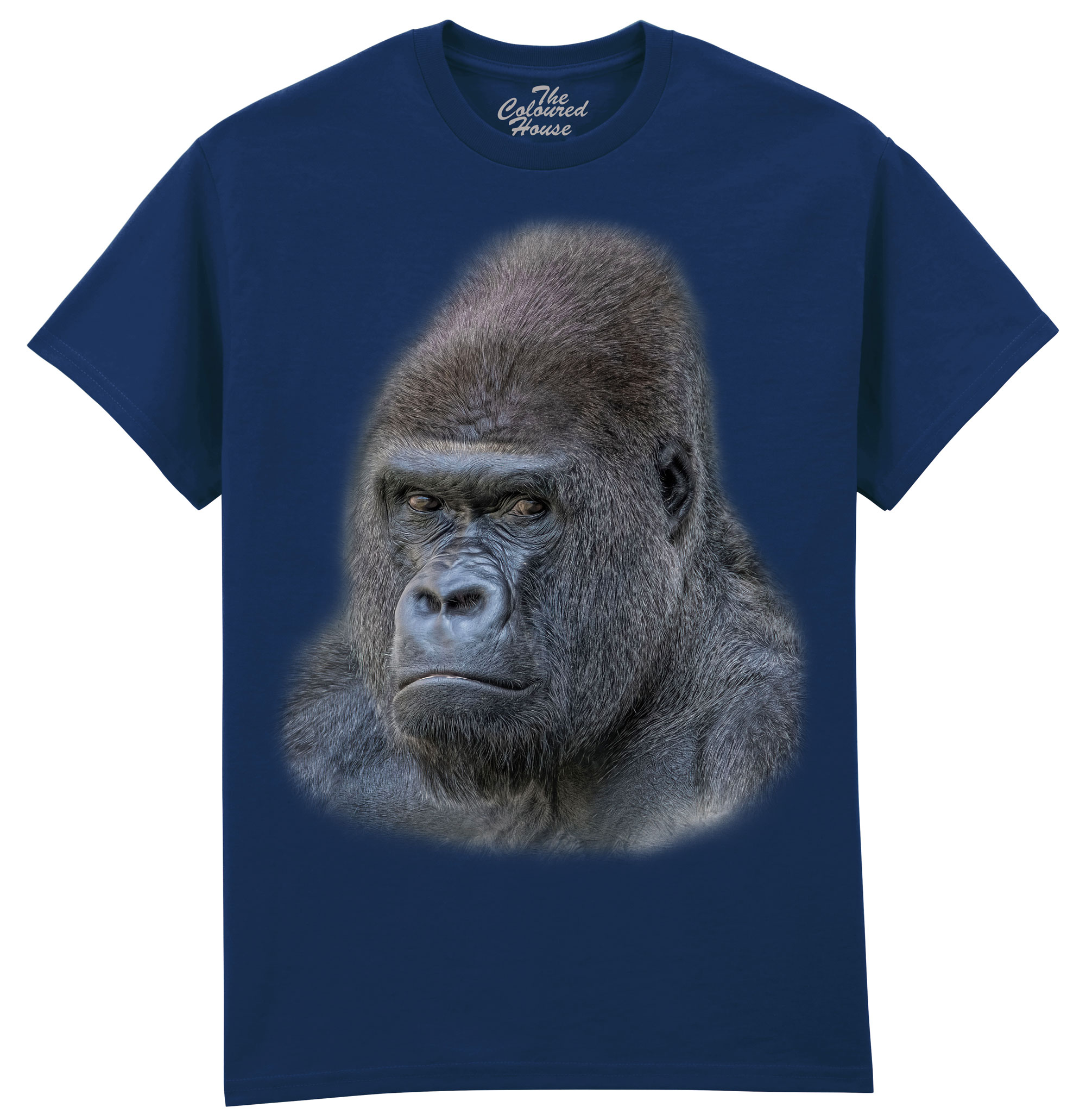 The Boss - Gorilla The Boss - Gorilla