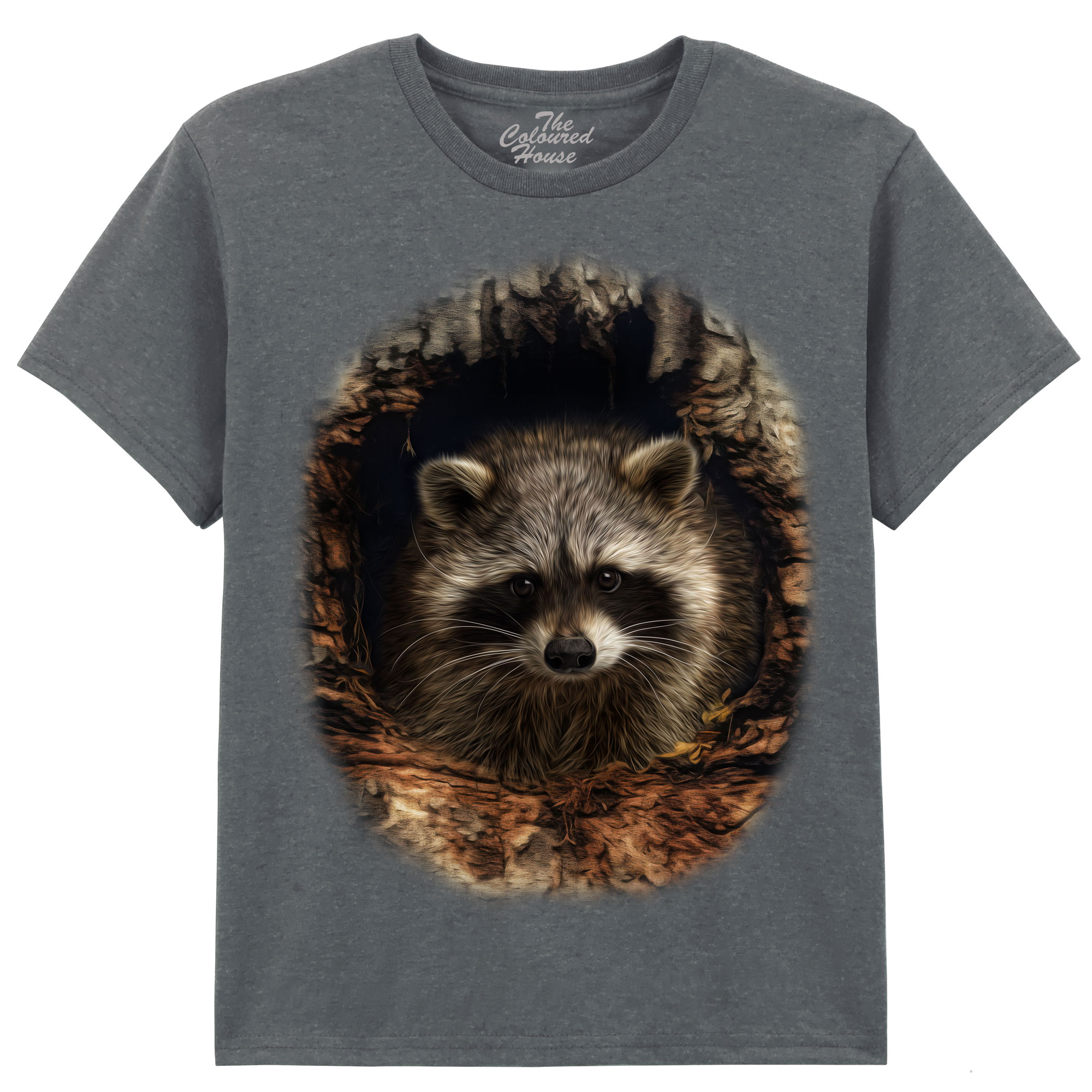 Through The Woodland Window - Racoon KIDS 