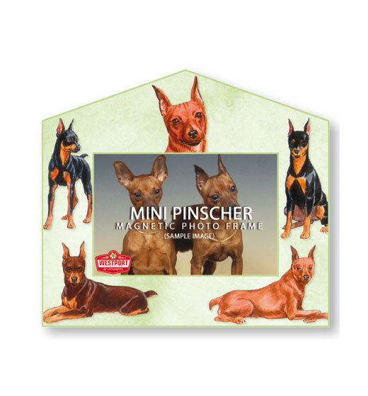Mini Pinscher