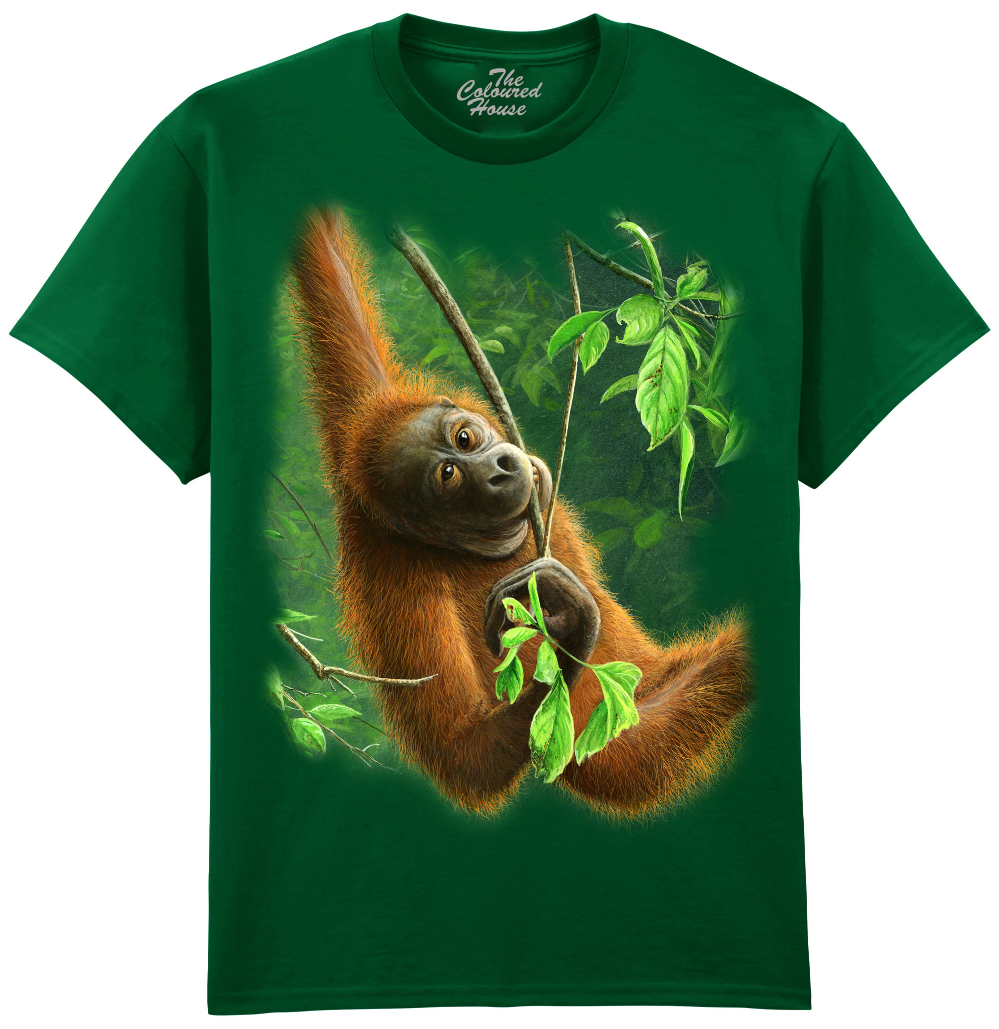 Hanging Orangutan