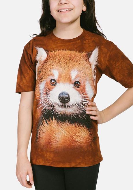 Red Panda Portrait
