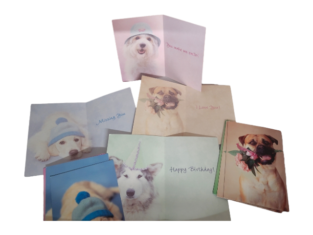 95638-3 Dogs Greetings - Photo Frame With Cards
