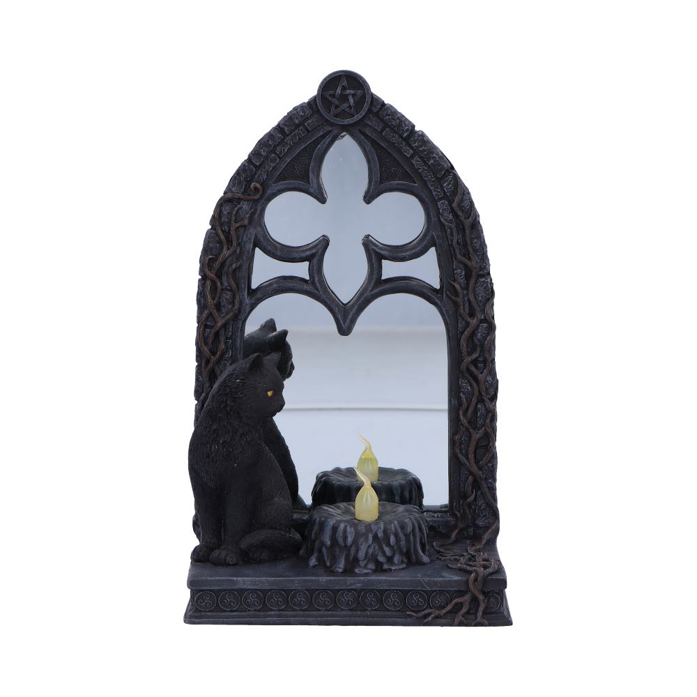 Cat Magic Mirror