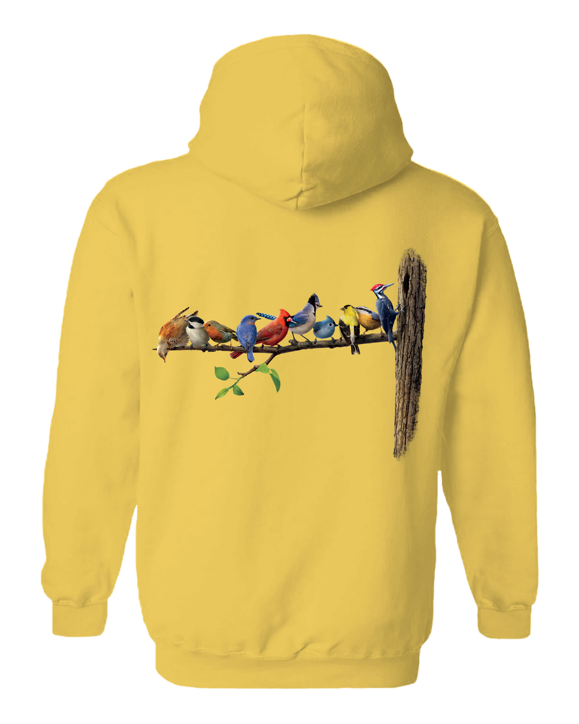 Birds Hoodie
