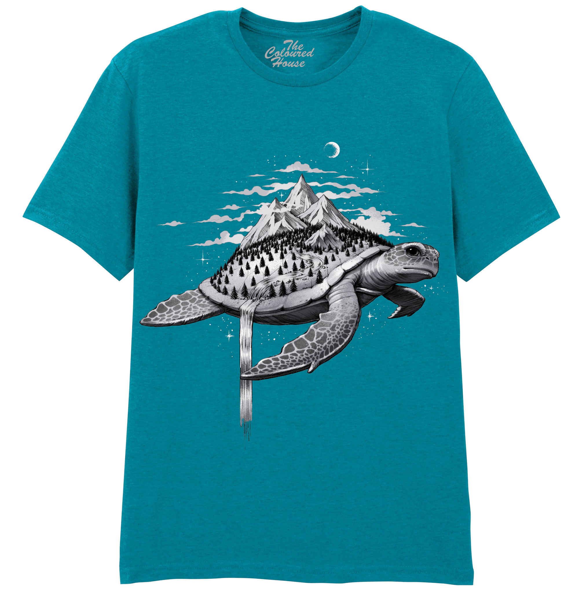 Adventure Turtle