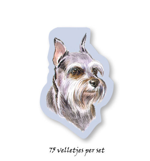 Schnauzer