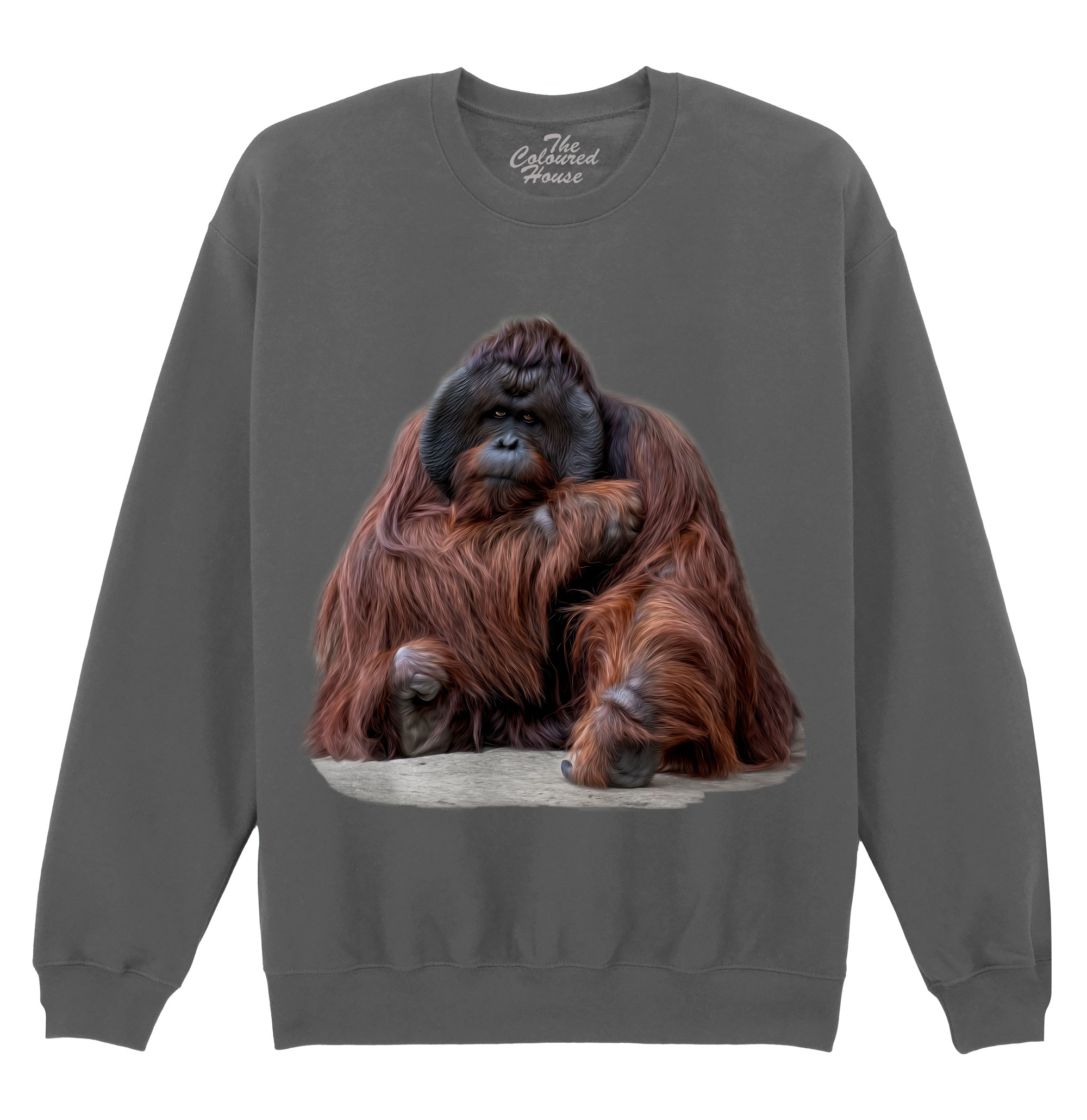 Wisdom Beyond Words - Orangutan Sweater