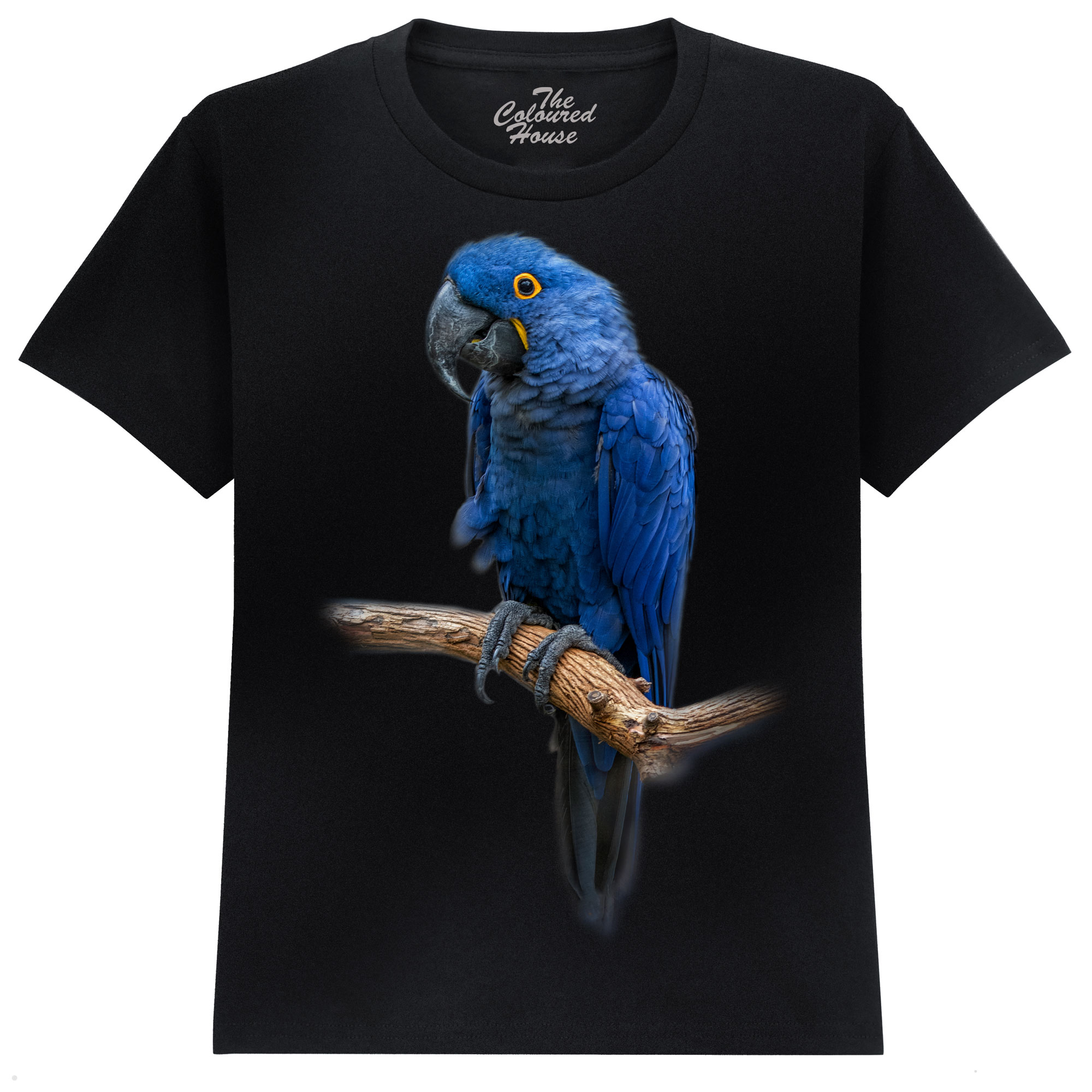 Blue Gem - Macaw KIDS