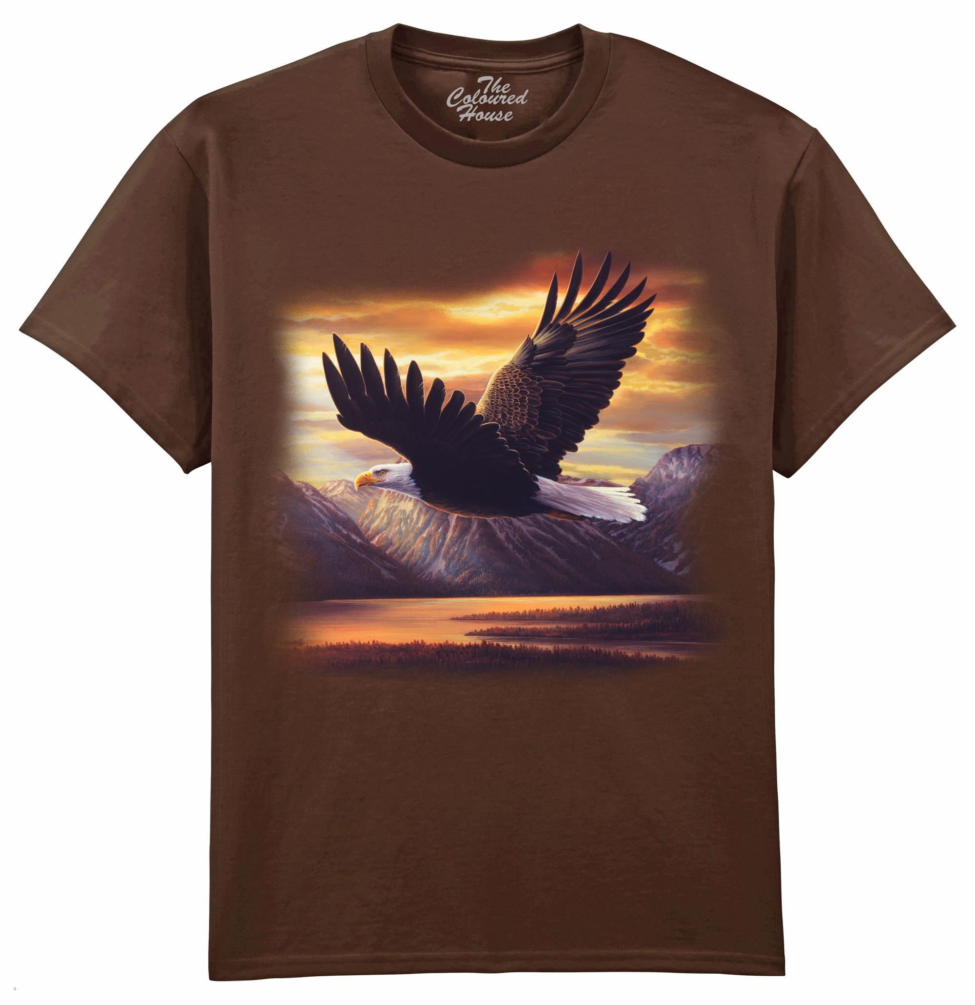 Sacred Vigil - Bald Eagle