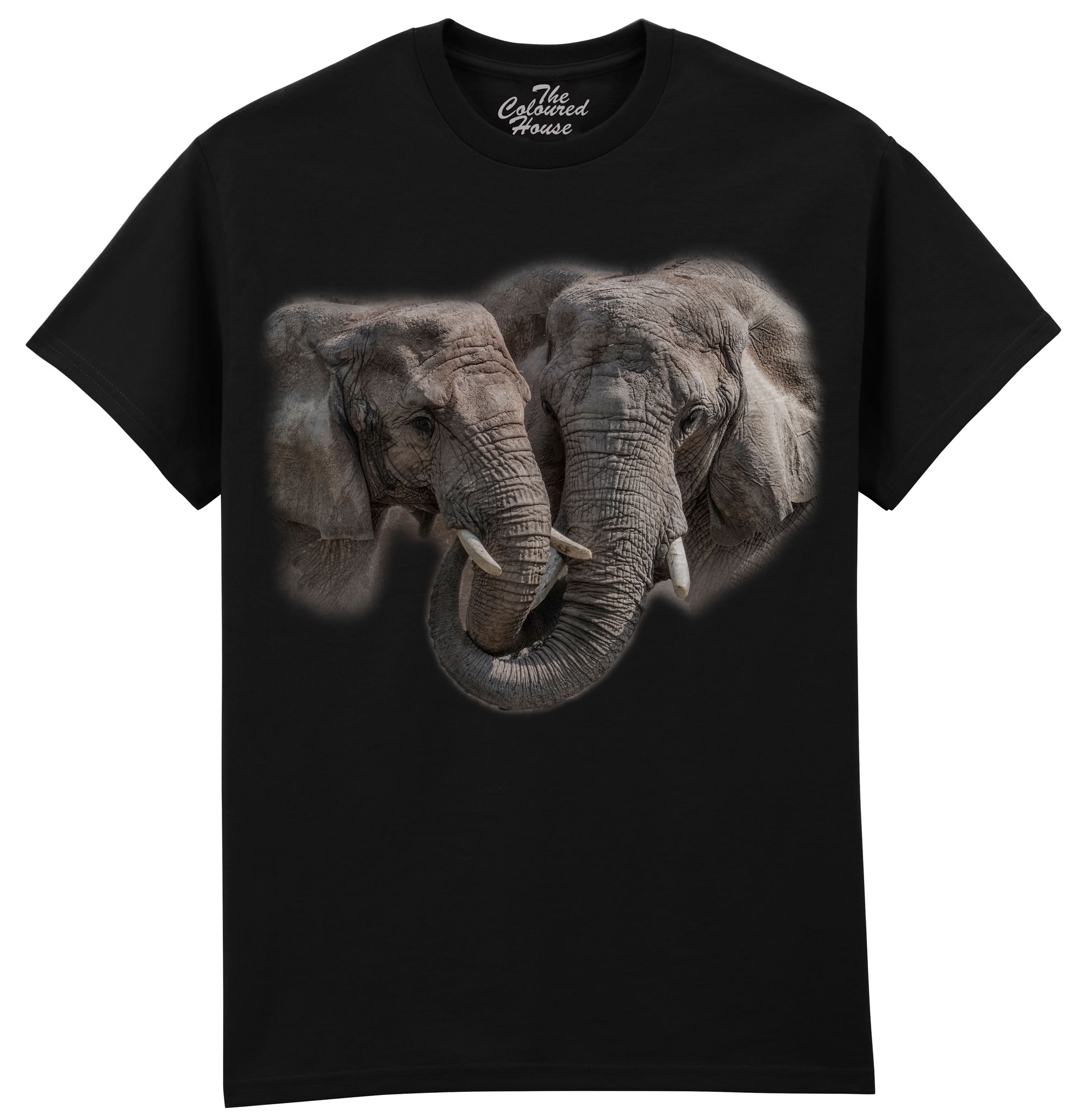 Big Hug - Elephants